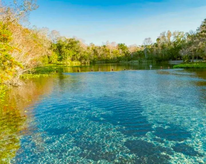 Alexander Springs, Orlando, Florida